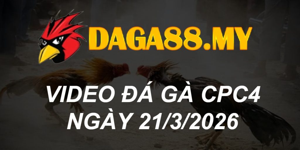 VIDEO GÀ CPC4 NGÀY 21/3/2026