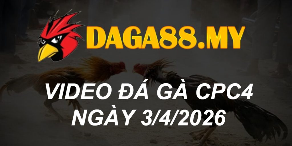 VIDEO GÀ CPC4 NGÀY 3/4/2026